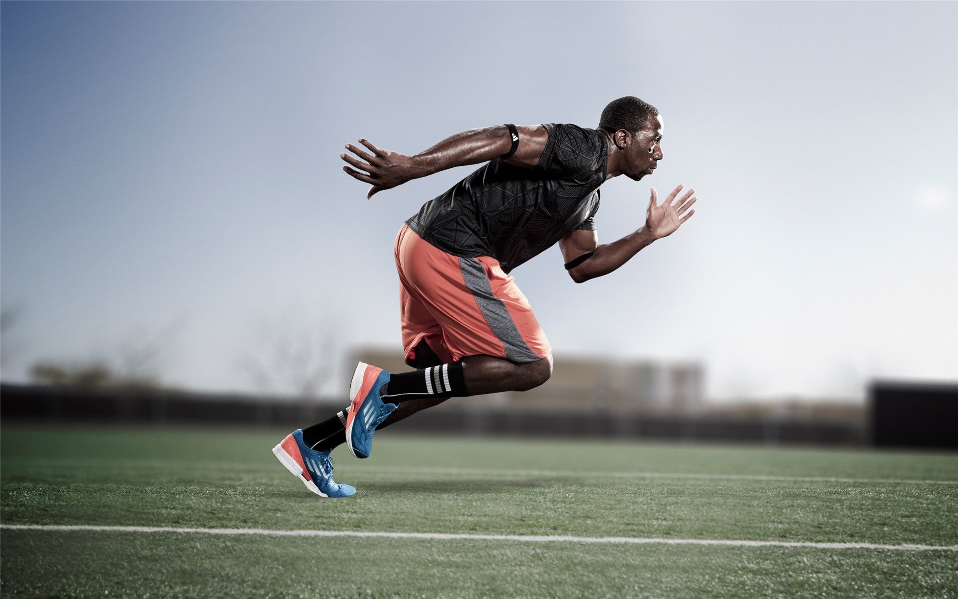 范弗利特式爆发，辽宁队如何在上海之巅完成终极证明