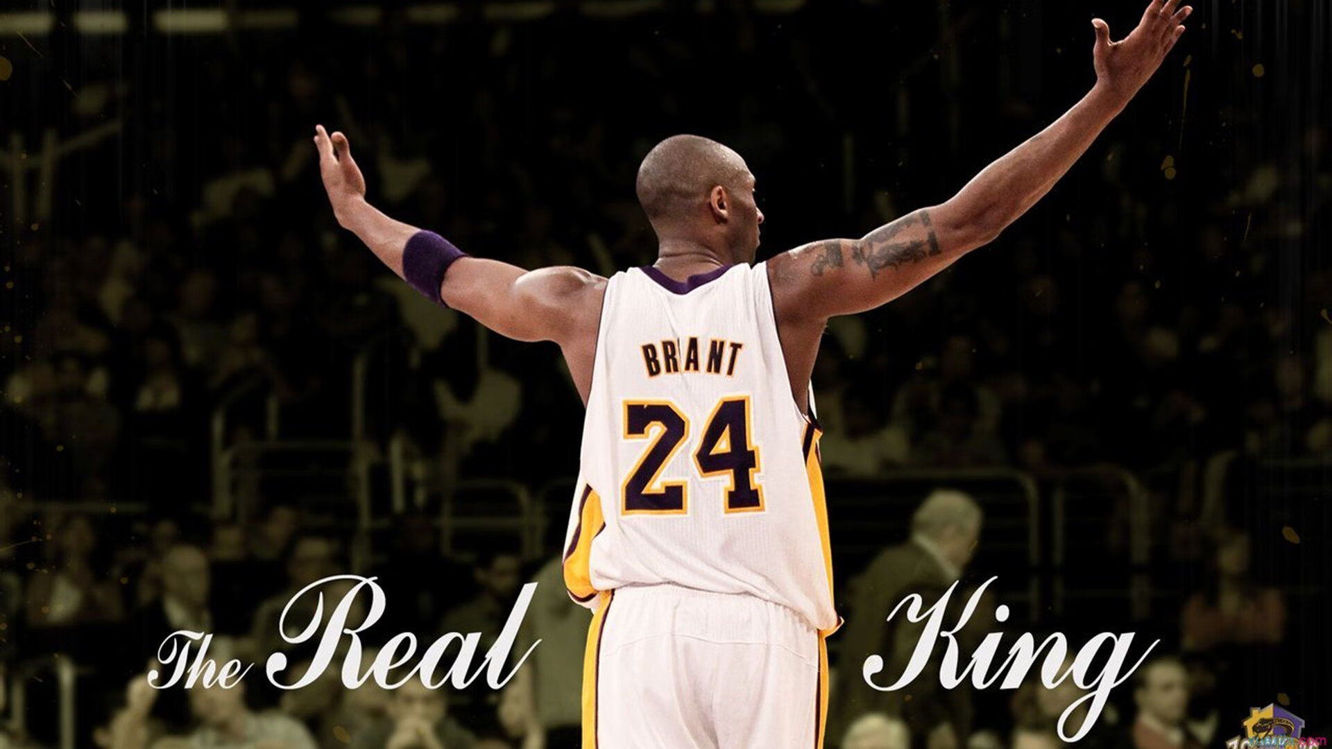 绿茵场上的绝杀与球台边的火焰，当日本队逆转波兰，张继科重燃乒乓魂